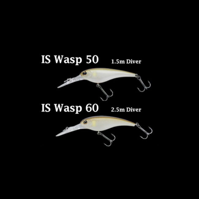 is-wasp-diagram-imakatsu