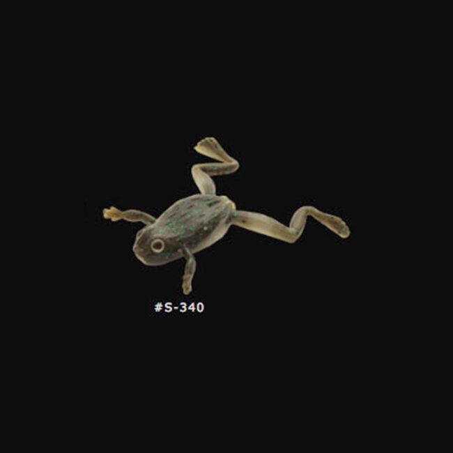 s-340-finesse-frog-imakatsu
