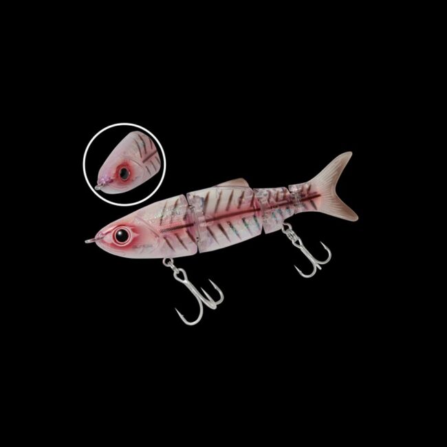 104-Skeleton-Bone-Joint-Bait-90SF-biovex-lures-fishtec-soltuons